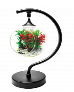 Фитосветильник настольный, светодиодный, стеклянный шар APEYRON FT-05 Светильники для растений